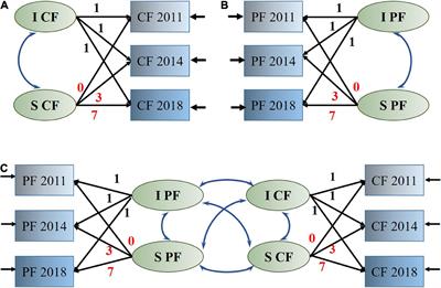Joint developmental trajectories and temporal precedence of physical function decline and cognitive deterioration: A longitudinal population-based study